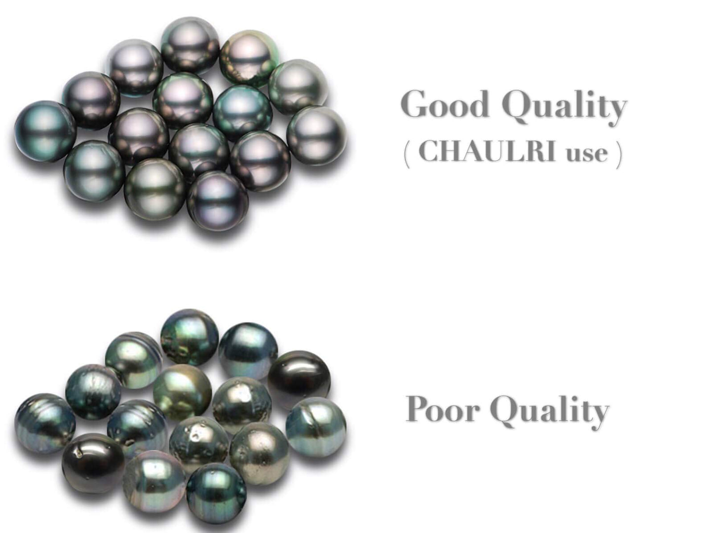 CHAULRI Minimalist Classic Earrings Tahitian Black Pearl 8.5-9mm 18K Yellow Gold Plated Sterling Silver - Jewelry Gifts for Women (Yellow Gold)