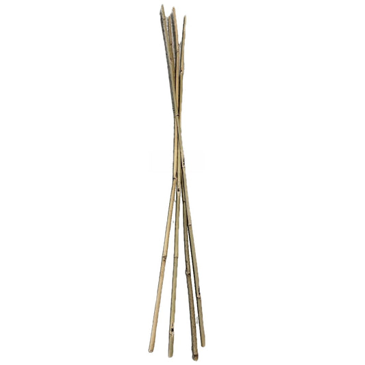 Farm Plastic Supply - Bamboo Garden Stakes - Bambo Sticks, Bamboo Plant Stakes for Outdoor Plants, Plant Support Stakes for Indoor Plants (7 Foot, 5)