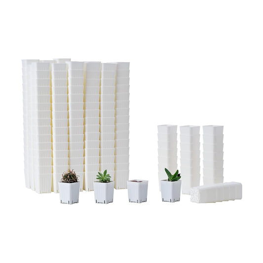 BangQiao 300 Pack 1.55 Inch Tiny White Plastic Square Nursery and Seedling Pot, Mini Transplant Seed Starter Planter with Drain Hole for Germination, Herb, Succulent