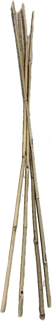 Farm Plastic Supply - Bamboo Garden Stakes - Bambo Sticks, Bamboo Plant Stakes for Outdoor Plants, Plant Support Stakes for Indoor Plants (4 Foot, 100)