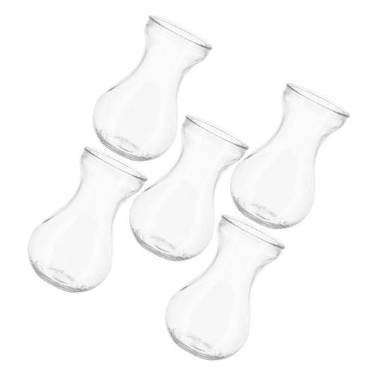 Hemobllo 5Pcs Desktop Glass Planter Decorative Vases for Home Office Unique Terrarium Design for Flower Arrangement Plant Display for Tabletop Shelf Decor
