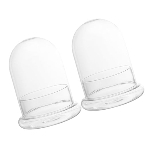 VANZACK 2pcs Moss Landscape Bottle DIY Plant Terrarium Glass Container for Indoor Home
