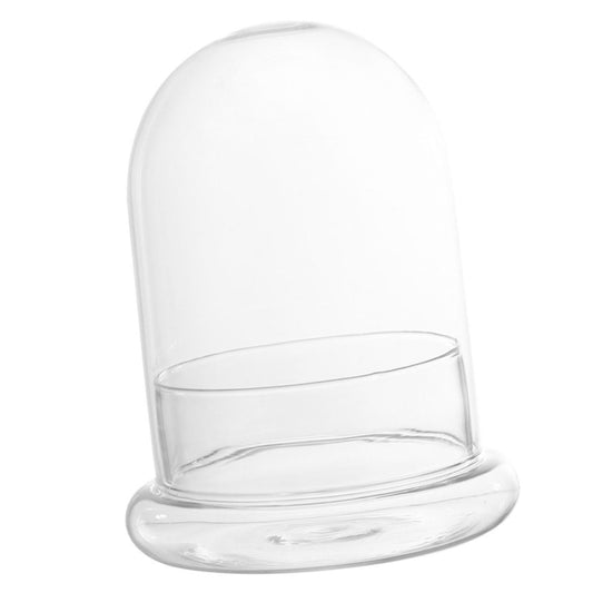 Sosoport Glass Eco Bottle Terrarium Supplies Bell Jar Dome Plant Holder DIY Decor