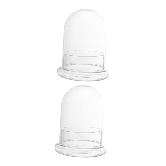 FUNOMOCYA 2pcs Eco Bottle Moss Micro Landscape Bottle Glass Terrarium DIY Plant Container
