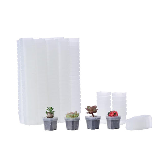 BangQiao 200 Pack 1.95 Inch Tiny Clear Plastic Square Nursery and Seedling Pot, Mini Transplant Seed Starter Planter with Drain Hole for Germination, Herb, Succulent