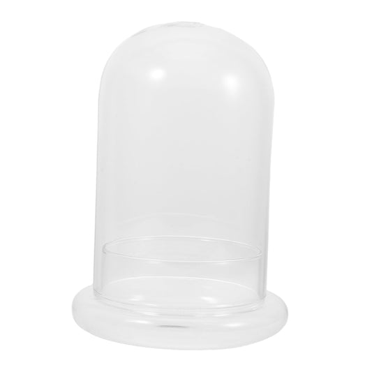 IWOWHERO Micro Landscape Vase Flower Vase Small Glass Terrarium Desktop Glass Terrarium Tabletop Aquarium Tank Micro Landscape Bottle Plant Holder High Borosilicate Glass Transparent