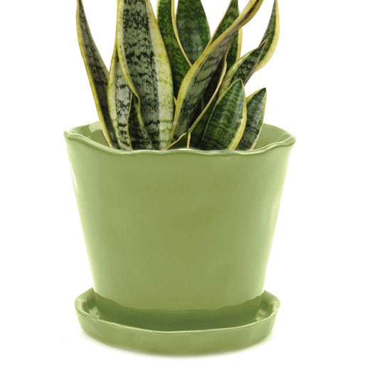 CHIVE ‘Tika’ Ceramic Planter Pot — Large 8" Succulent Pots for Indoor & Outdoor House Plants — Cute, Beautiful Modern Farmhouse Kitchen Decor — Green