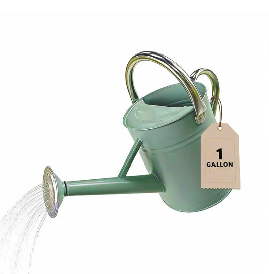 Watering Can for Outdoor&Indoor Plants，1 Gallon Metal Watering Can with with Removable Spout，Galvanized Steel Garden Flower Water Can Plant Watering Pot with 2 Stainless Steel Handles，Cream Green