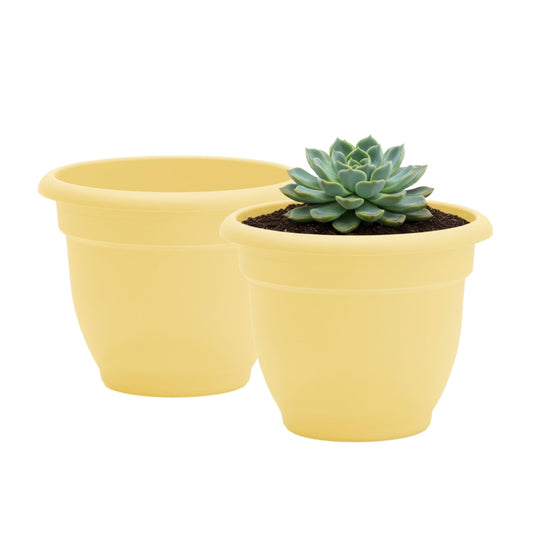 Bloem Ariana 12" Self-Watering Plastic Planter - Rolled Rim Indoor/Outdoor Garden Pot, Daffodil, 2-Pack