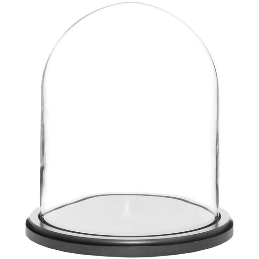 Plymor 8" x 10.25" Glass Display Dome Cloche (Black MDF Wood Base)