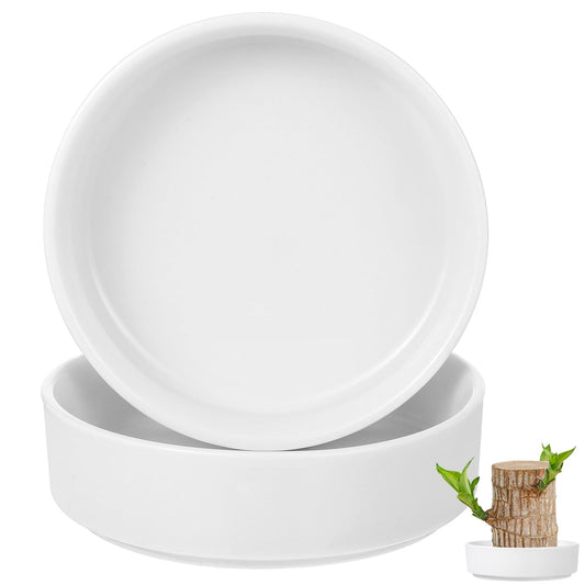 balacoo 2pcs Brazilian Wood Plant Pot: Ceramic Brazilian Wood Pallet Desk Flower Pots Plant Base ers Tabletop Tray Dish for Lucky