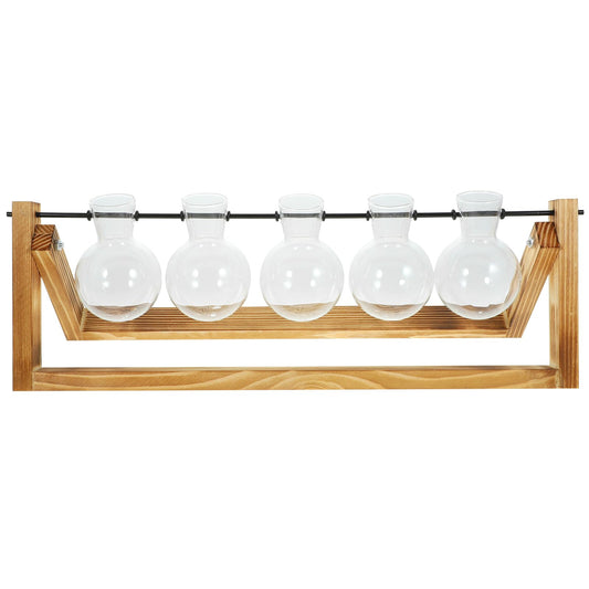 BESTonZON Glass Plant Propagation Station with 5 Glass Vases and Wooden Stand, Hydroponic Vase Set for Desktop Green Plant Water Cultivation and Home Décor
