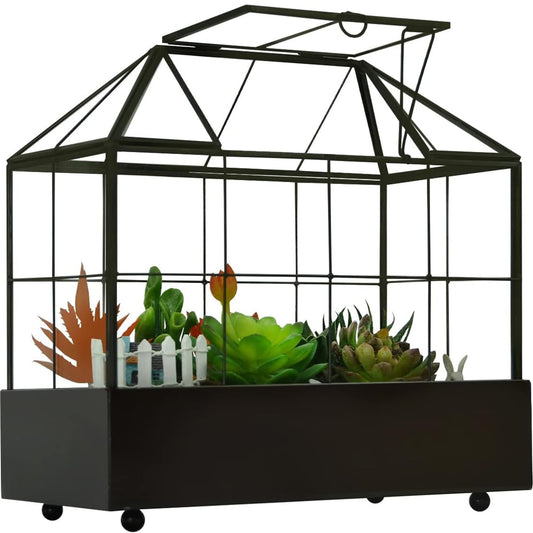 YIMORENCE V Large Tall Plant Terrarium Glass Greenhouse with Lid and Tray, Indoor Tabletop Orchid Succulent Cacti Kit 9.5'X9.8'X5.6'