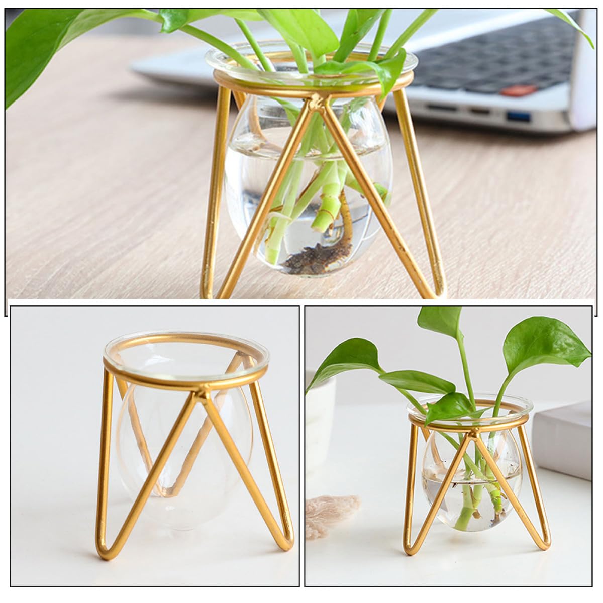 Unomor Glass Hydroponic Plant Vase with Gold Metal Stand Small Tabletop Flowerpot for Indoor Air Plants and Terrarium Décor for Home and Wedding