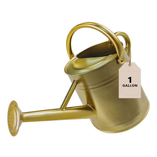 Watering Can for Outdoor&Indoor Plants，1 Gallon Metal Watering Can with with Removable Spout，Galvanized Steel Garden Flower Water Can Plant Watering Pot with 2 Handles，Gold