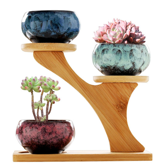 YYW Succulent Pots with Drainage Ceramic Plant Pot Indoor Small Flower Cactus Pots with Tree Tier Bamboo Stand Shallow Planter for Garden Windows Home Office Decor Plant Lovers Gifts