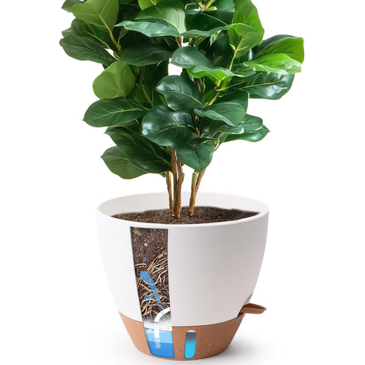 T4U 12 Inch Self Watering Pot - Water Level Indicator & Deep Reservoir, Mess-Free Planter for Busy People, Beginners & Gardeners, Fits Rubber Tree/Fiddle Leaf Fig Plants, Indoor Outdoor Use (White)