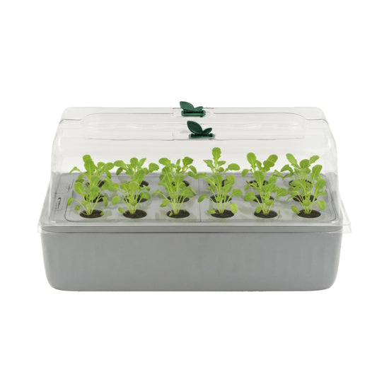 EZ Leafy Planter – Self-Watering Indoor Planter Box with Reservoir & Humidity Dome | Soil-Based Countertop Garden Kit for Leafy Greens, Lettuce, Spinach & Herbs | Kitchen Windowsill Planter