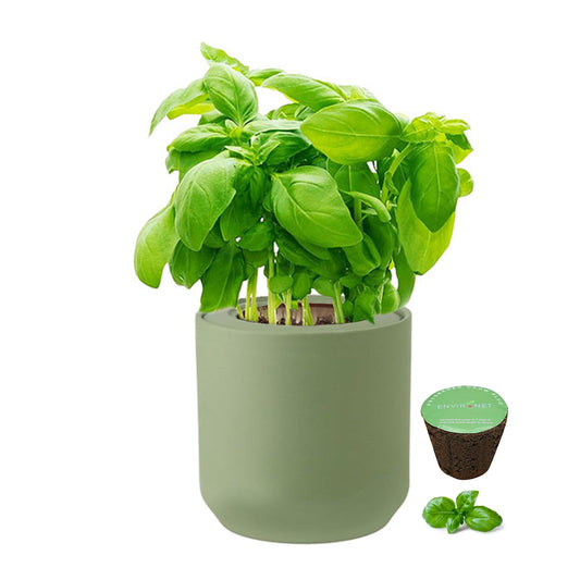 Environet Hydroponic Herb Growing Kit, Self-Watering Kitchen Herb Garden Starter Kit with Green Ceramic Pot and Seeds (Basil)