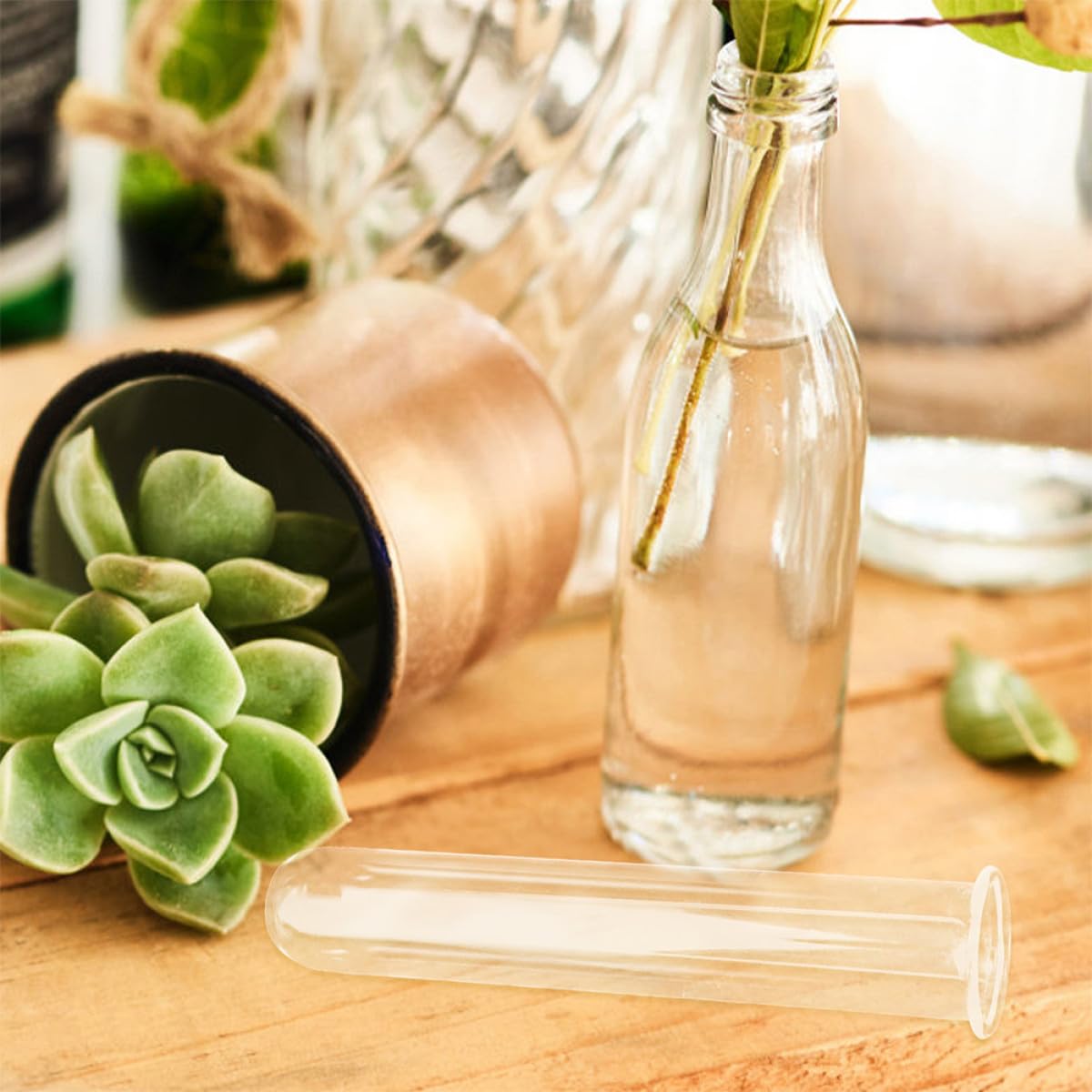 HOOTNEE 4pcs Glass Hydroponic Test Tube Vases 2.5x3x18cm Desktop Terrarium Plant Propagation Holders Floral Water Planter Tubes for Home Décor and Office Use