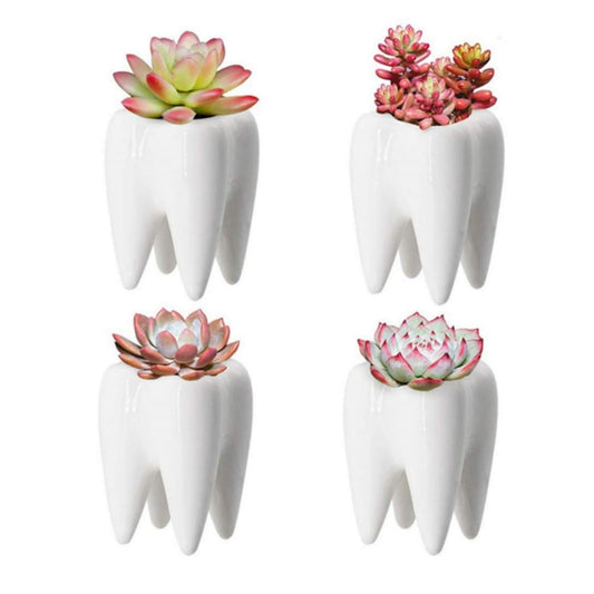 LECMACY Cute Tooth Shaped White Ceramic Planter Pots Flower Plant Containers, Mini Ceramic Succulent Planter Pots, Creative Pen Pencil Holder for Office Home Desk Decor, Plants Not Included (4 Pcs)
