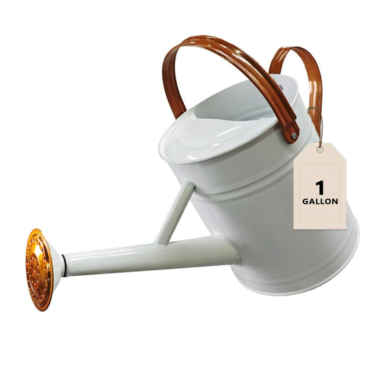 Watering Can for Outdoor&Indoor Plants，1 Gallon Metal Watering Can with with Removable Spout，Galvanized Steel Garden Flower Water Can Plant Watering Pot with 2 Handles，White