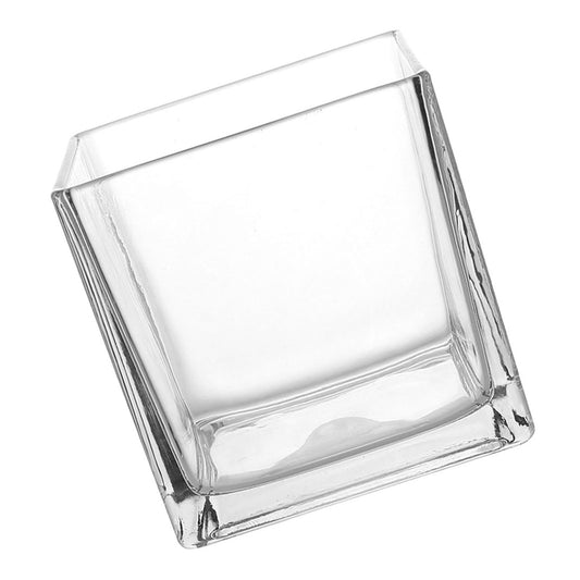 INOOMP Square Glass Hydroponic Vase 10x10cm Thick Cube Flower Vase for Home Desk Decor, Glass Plant Terrarium Bottle for Modern Indoor Gardening