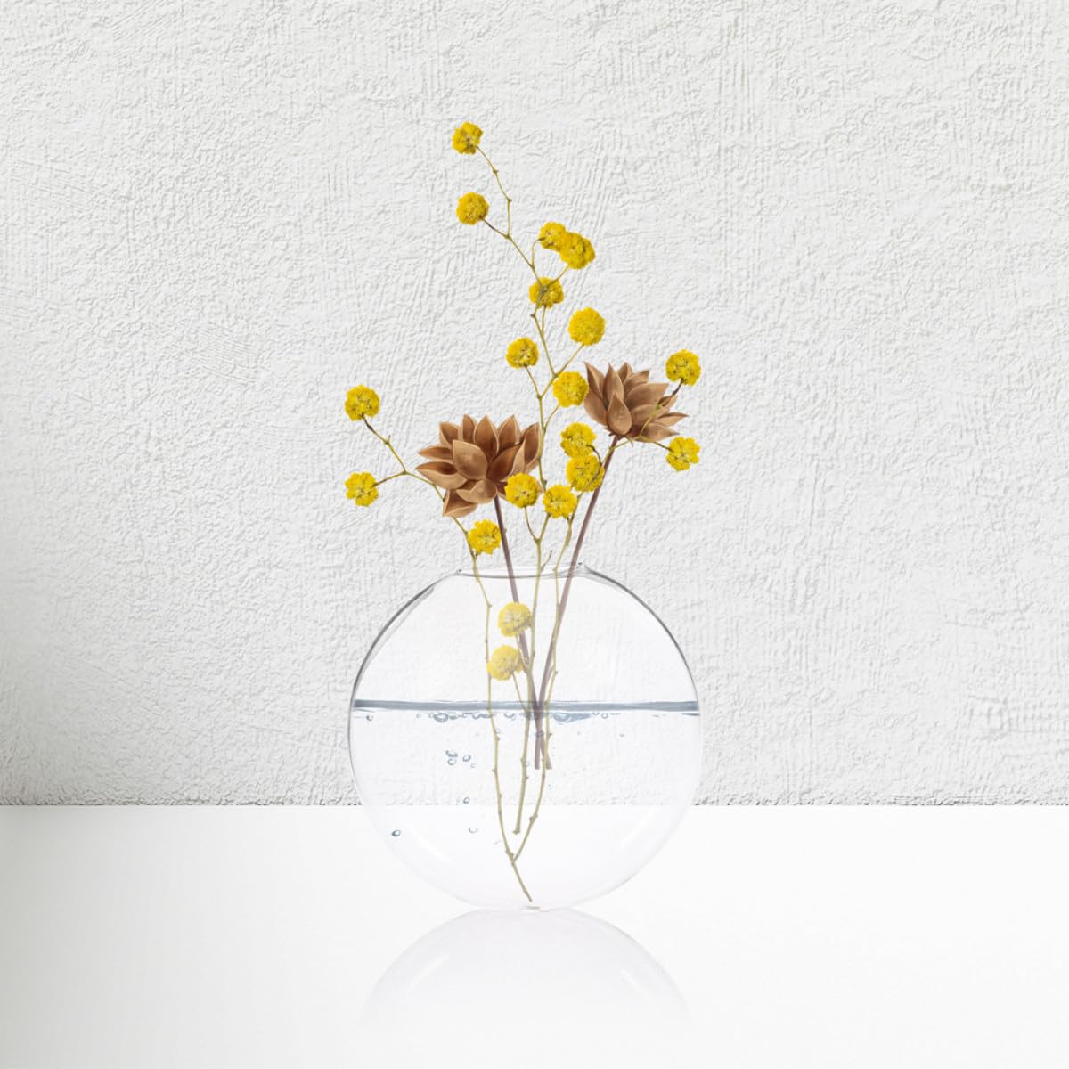 FOMIYES 4pcs Wall Hanging Glass Hydroponic Vase Set, Flat Glass Terrarium Containers for Indoor and Outdoor Plant Propagation and Home Décor