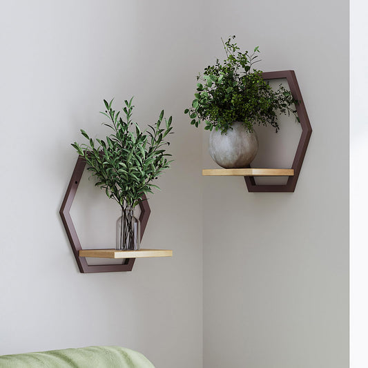 Rioneta 2 Pack Solid Wood & Heavy Duty Metal Wall Plant Stands,9 inch Natural Wood Shelf, Boho Arch Hanging Planter for Indoor 25 LB Load for Plants Coffee