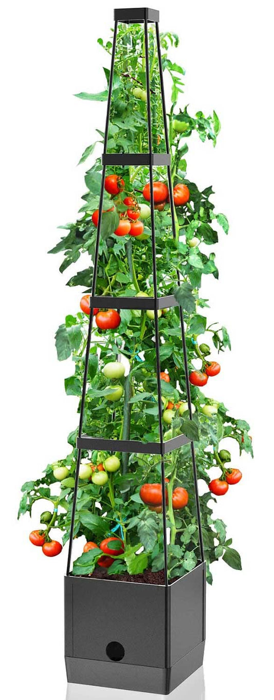 Raised Garden Bed Planter Boxes & Trellis, vanpein Tomato Cage & Planter Pot Outdoor 59" Plant Support with Self Watering for Climbing Vegetable Flowers Vines Plants, Gray