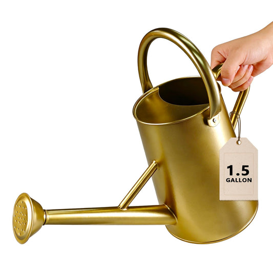 Watering Can for Outdoor&Indoor Plants，1.5 Gallon（5.7L） Metal Watering Can with with Removable Spout，Large Galvanized Steel Garden Flower Water Can Watering Pot with 2 Handles，Gold