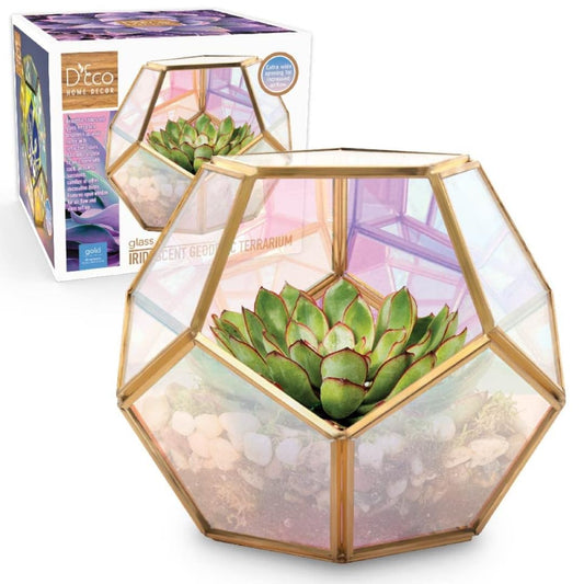 D'Eco Iridescent Glass Centerpiece (7x7x6)- Spring Home & Wedding Decor- Tabletop Geometric Planter Terrarium- Fill with Succulents, Cacti, Air Plants, Moss, Flowers for Plant Lovers