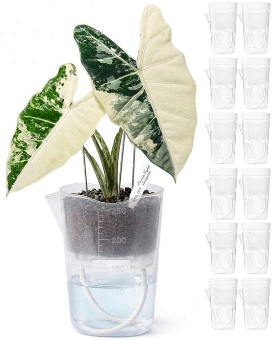 12 Pack 2.5" Small Self Watering Pots for Indoor Plants, Mini Clear Plastic Planters with Water Level & Drainage Holes, 12 Plant Labels, Semi-Hydro Propagation Pots for Succulents, African Violets