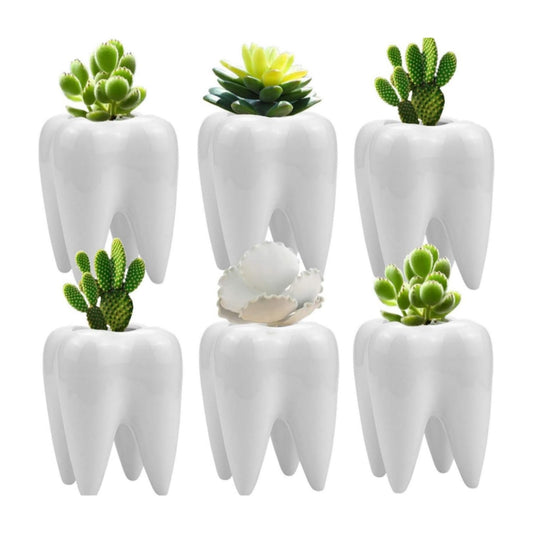 LECMACY Cute Tooth Shaped White Ceramic Planter Pots Flower Plant Containers, Mini Ceramic Succulent Planter Pots, Creative Pen Pencil Holder for Office Home Desk Decor, Plants Not Included (6 Pcs)