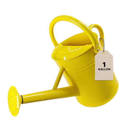 Watering Can for Outdoor&Indoor Plants，1 Gallon Metal Watering Can with with Removable Spout，Galvanized Steel Garden Flower Water Can Plant Watering Pot with 2 Handles，Yellow