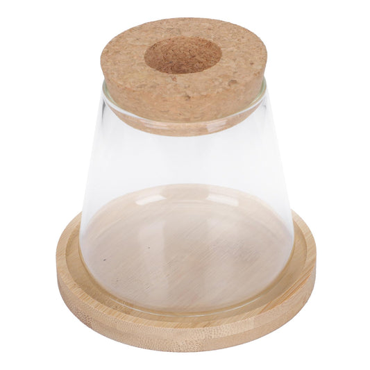 Beaupretty Hydroponic Glass Vase with Wooden Stand, 1-Set Ecological Bottle for Plant Propagation, Home and Office Gardening Terrarium Planter