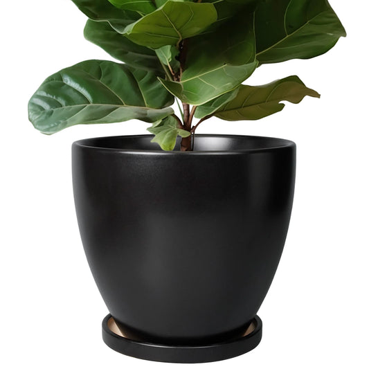 EPFamily Ceramic Planter - 10 Inch Plant Pot with Drainage Hole and Tray, Round Flower Pots, Planters for Indoor Plants, Modern Room Garden Patio Bathroom Living Room Porch Home Decor, Black