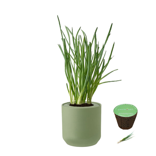 Environet Hydroponic Herb Growing Kit, Self-Watering Kitchen Herb Garden Starter Kit with Green Ceramic Pot and Seeds (Bunching Onion)