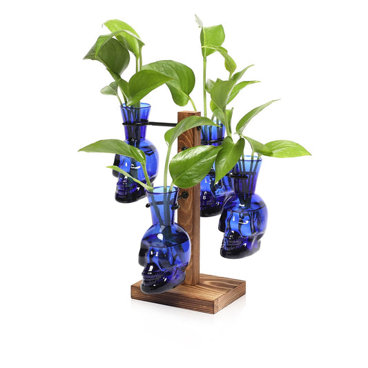 Plants Propagation Stations Skull Glass Propagation Birthday Gift for Women Garden Plant Lovers - 4 Skull