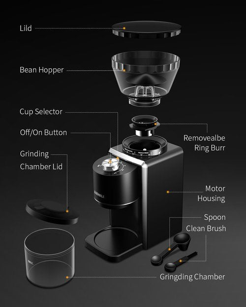 KIDISLE Conical Burr Coffee Grinder, Electric Coffee Bean Grinder for Precise Grinding, 35 Settings, 2–12 Cup Selector, Anti-Static Design for Home Use, Black