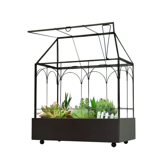 Large Tall Glass Plant Terrarium – House Succulent Terrarium Kit with Lip and Tray Glass Greenhouse Terrarium for Plant 9.5”X5.7”X11.4”