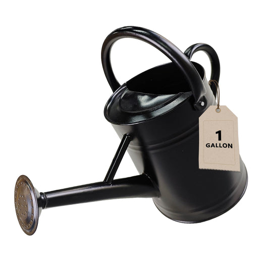 Watering Can for Outdoor&Indoor Plants，1 Gallon Metal Watering Can with with Removable Spout，Galvanized Steel Garden Flower Water Can Plant Watering Pot with 2 Handles，Black