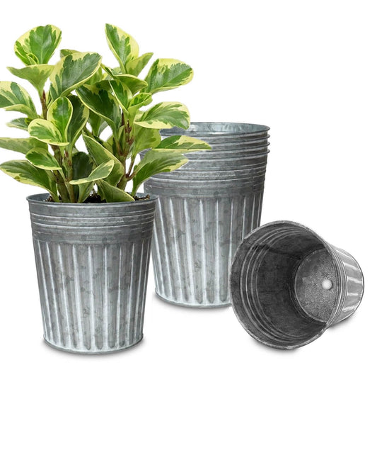 vensovo 7 Inch Galvanized Bucket Planter - 6 Pack Metal Flower Pots with Drainage Holes & Plugs, Rustic Silver Tin Pots for Indoor Herbs, Outdoor Succulents, Farmhouse Home Garden Decor