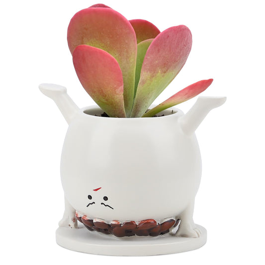 Smily Face Planter Pots Head, Flower Pot Planters for Indoor Outdoor, Happy Succulent Pot, Funny Plant Pots for Succulent with Drainage Holes Gift Ideas for Mother's Day, Birthday, Teacher Gifts