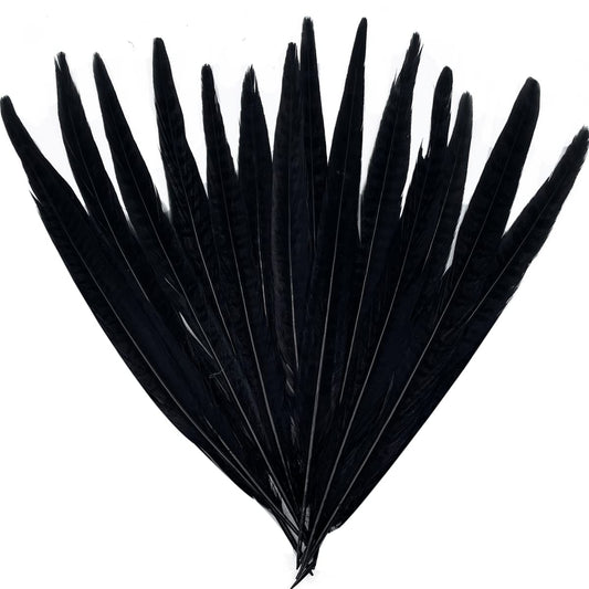 10pcs Black Pheasant Tail Feathers 10"-12" Gothic Decorative Feathers for Dark Edgy Art Projects Halloween Costumes Witchy Cosplay