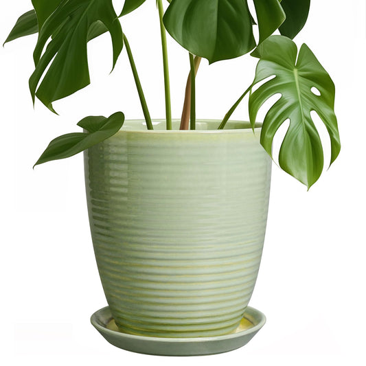 EPFamily Ceramic Pots for Plants - Modern Round 8 Inch Planter with Drainage Hole and Plant Saucer for Flower Indoor Outdoor, Home Decor, House Warming Gifts, Green