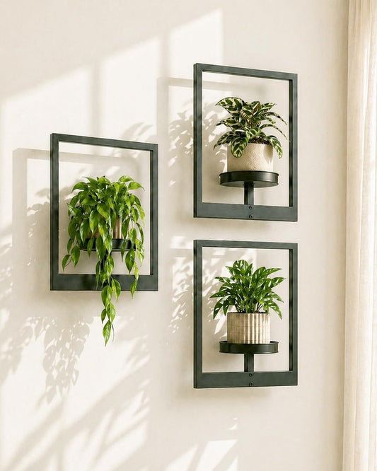 Bamworld Hanging Planters for Indoor Plants Wall Decor Living Room Plant Stand Indoor Wall Planters Plant Hanger Window Plant Shelves 3 Pack for Outdoor Entryway