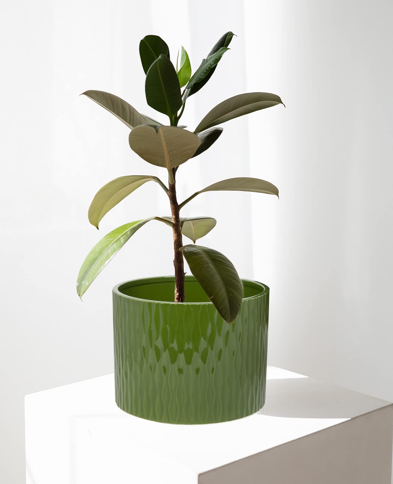 LaDoVita Ceramic Plant Pot with Stand, 10 Inch Planter with Wood Shelf, Modern Round Flower Pots Indoor with Wood Planter Holder, Dark Green Water Ripple Pattern