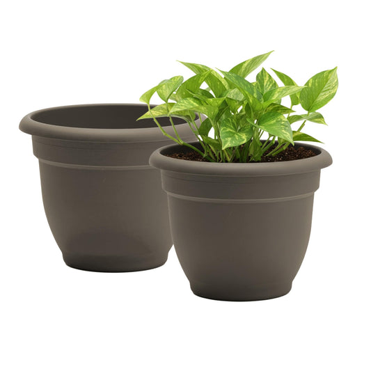 Bloem Ariana 12" Self-Watering Plastic Planter - Rolled Rim Indoor/Outdoor Garden Pot, Peppercorn, 2-Pack