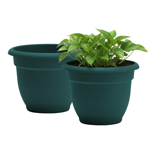 Bloem Ariana 12" Self-Watering Plastic Planter - Rolled Rim Indoor/Outdoor Garden Pot, Charleston Green, 2-Pack